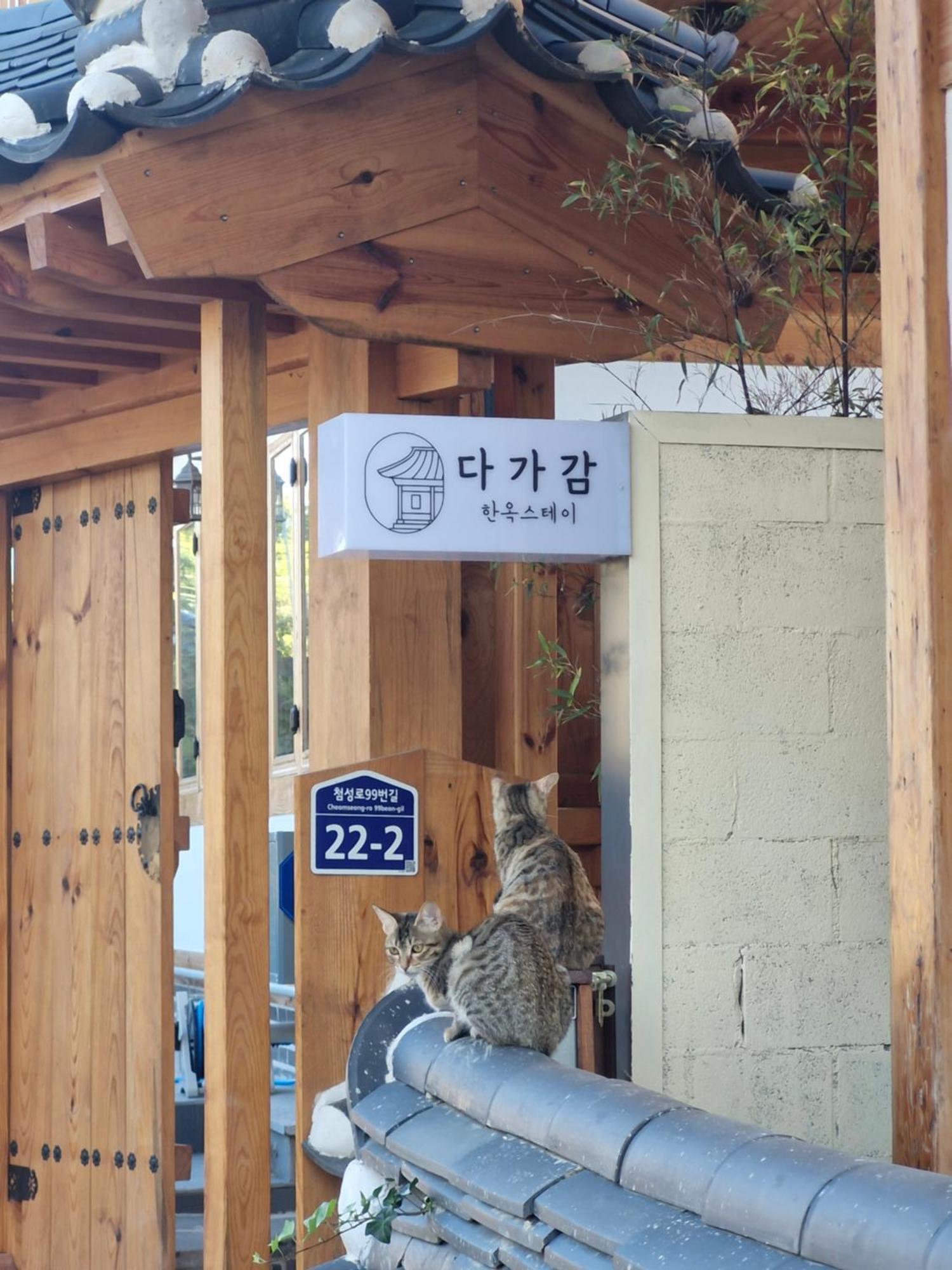 Hanok Stay Da-Ga-Gam Кёнджу Экстерьер фото